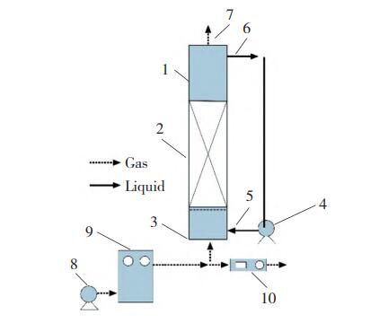焦化廢水尾水臭氧催化氧化實(shí)驗(yàn)
